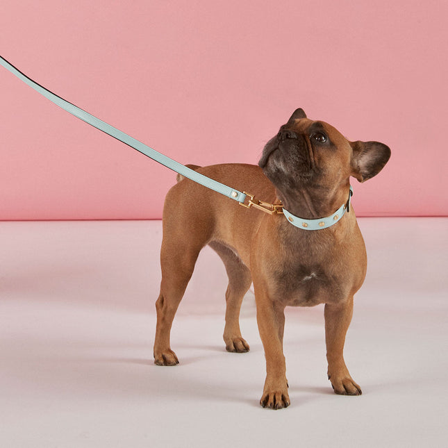 Classic Cloud leash