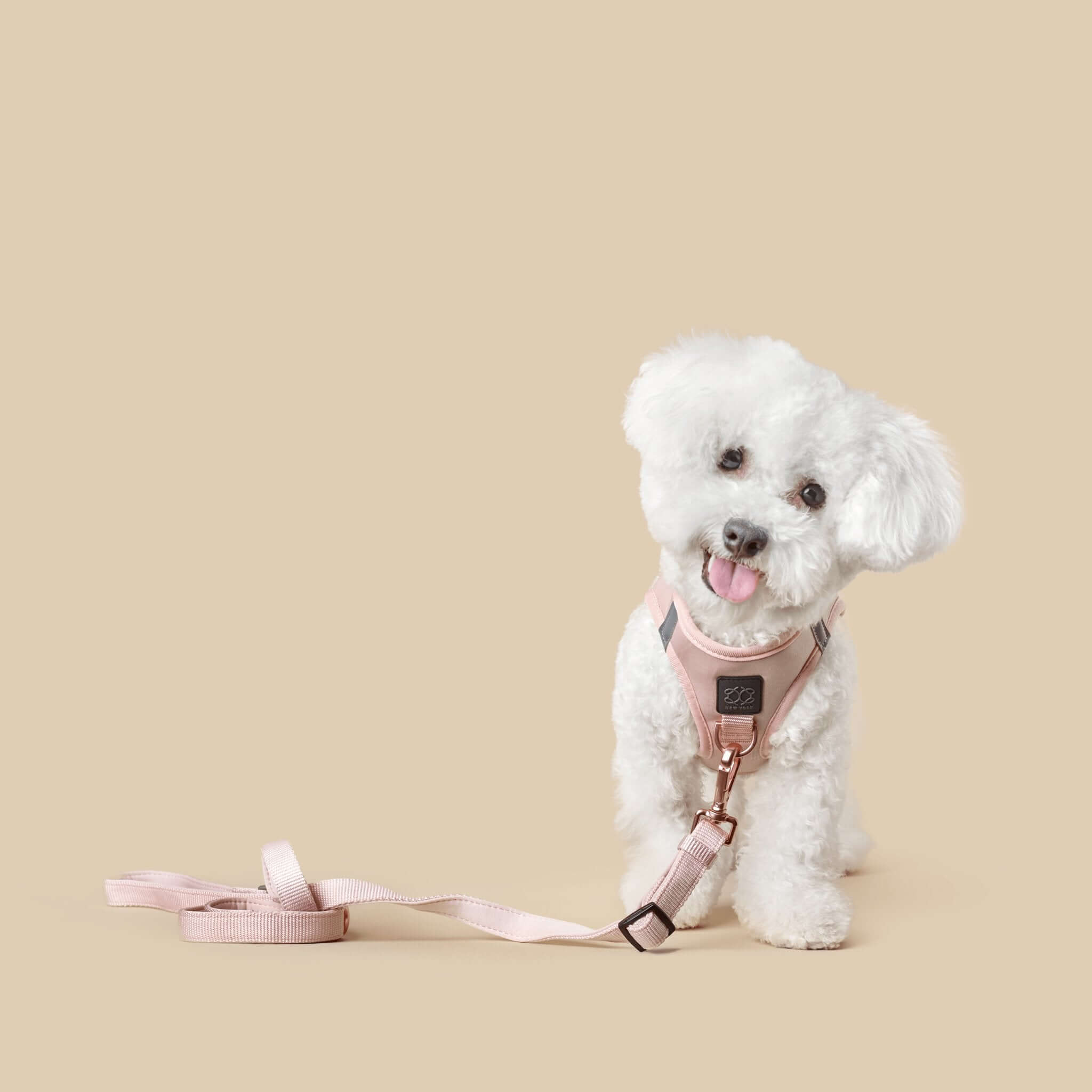 Hands-free Adjustable Dog Leash - Blush