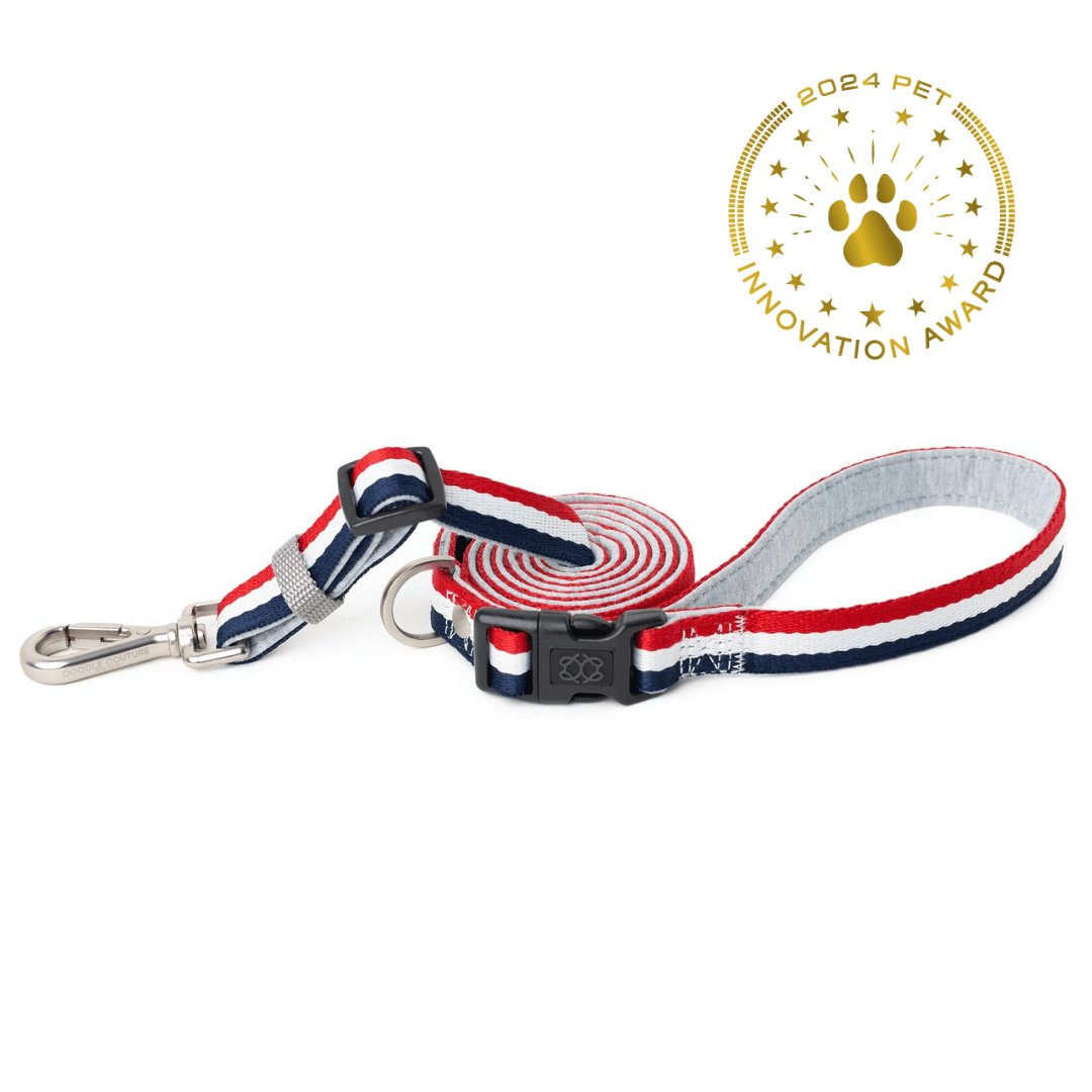 Hands-free Adjustable Dog Leash - Champion Gray