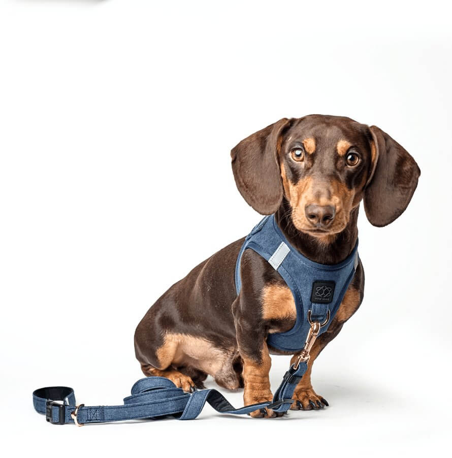 Hands-free Adjustable Dog Leash - Denim