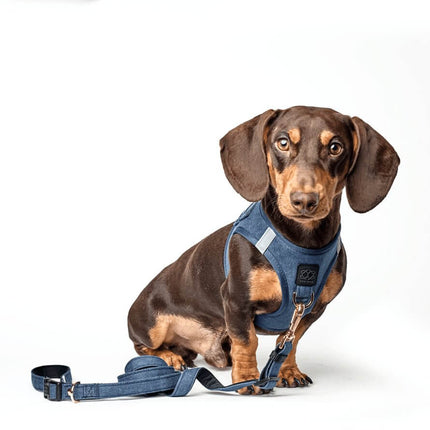 City Dog Leash - Denim