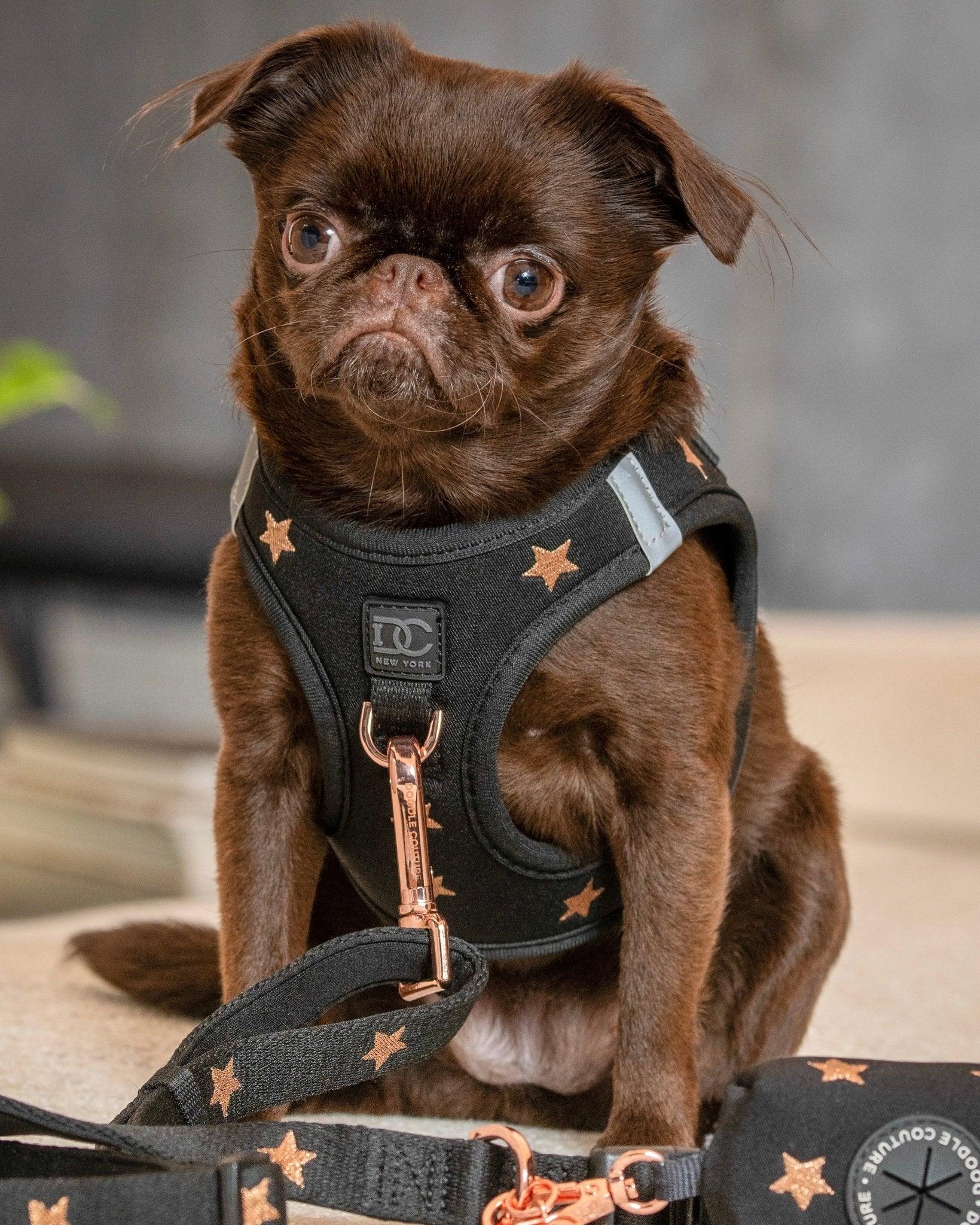 Hands-free Adjustable Dog Leash - Embroidered Rockstar