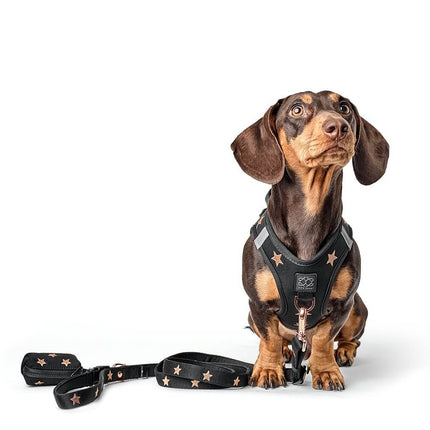 3-in-1 City Dog Leash - Rockstar