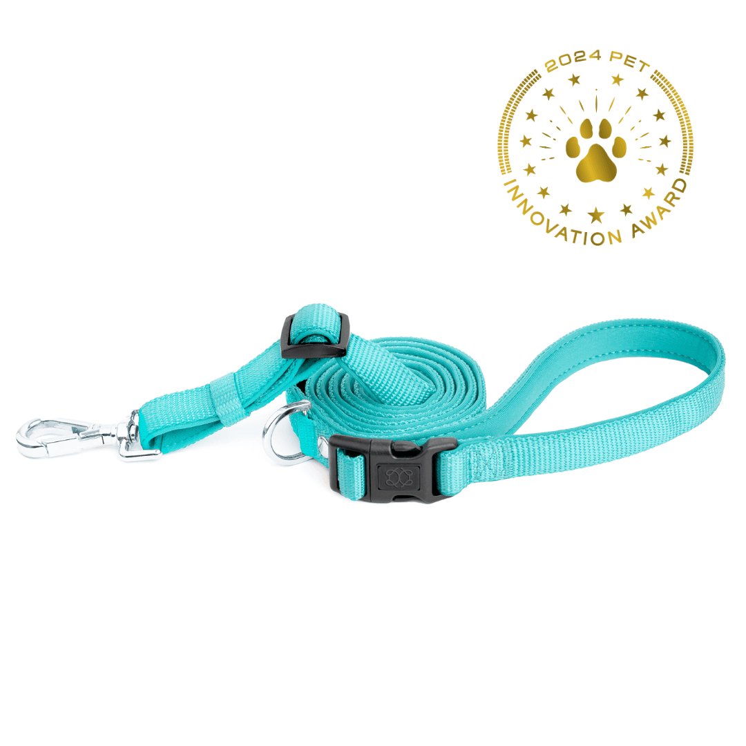 Hands-free Adjustable Dog Leash - Fifth Ave Blue