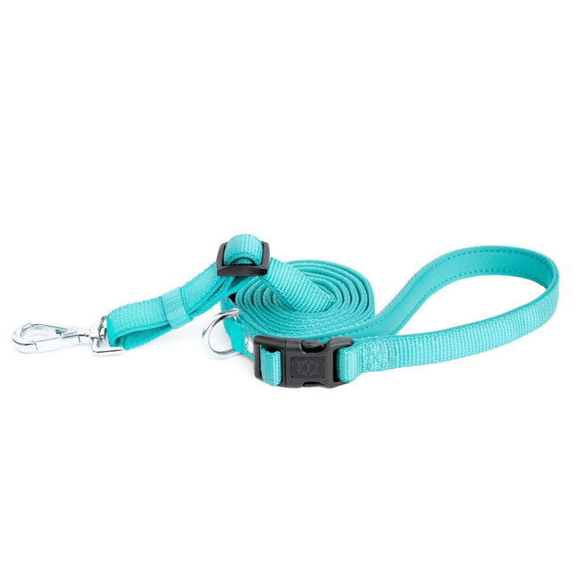 City Dog Leash - Fifth Avenue Blue