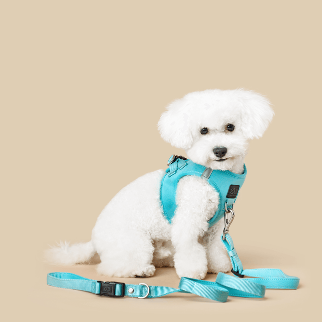 City Dog Leash - Fifth Avenue Blue