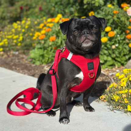 City Dog Leash - Iconic Red