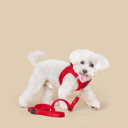 City Dog Leash - Iconic Red