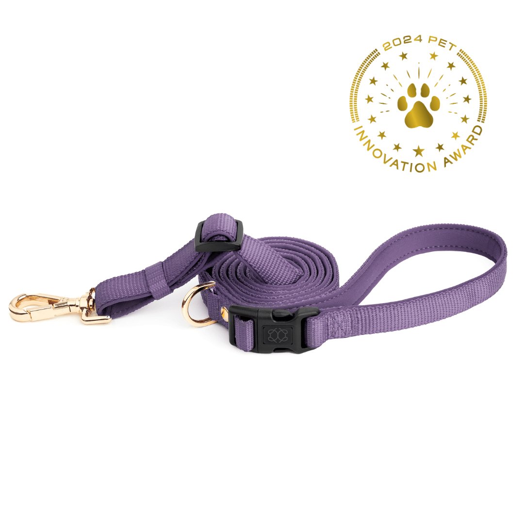 Hands-free Adjustable Dog Leash - Lilac Gray