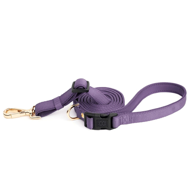 City Dog Leash - Lilac Gray