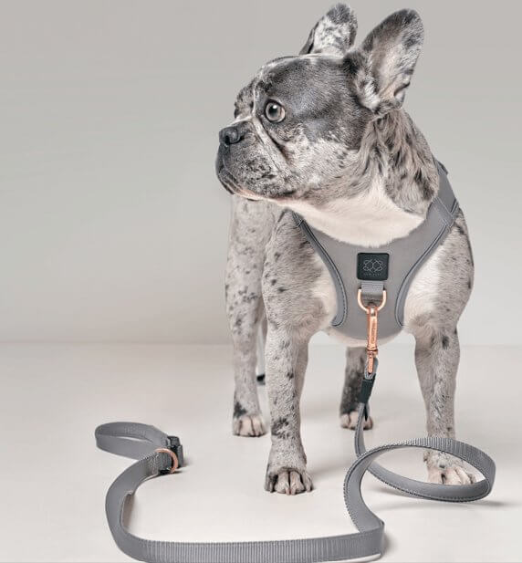 City Dog Leash - Steel