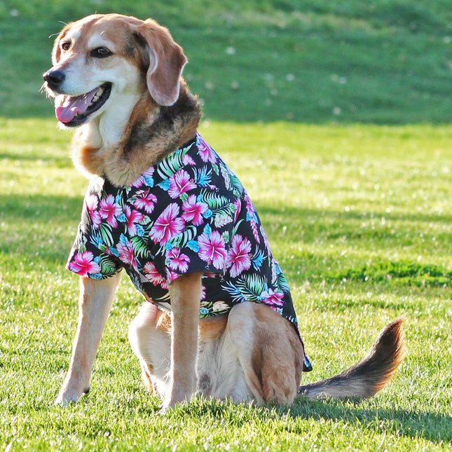 Hawaiian Camp Dog Shirt - Paradise Nights