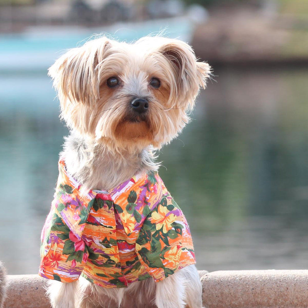 Hawaiian Camp Dog Shirt - Sunset Hibiscus