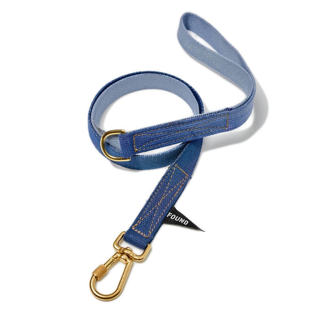 Ice Blue To Dark Blue Cotton Dog Leash, Standard