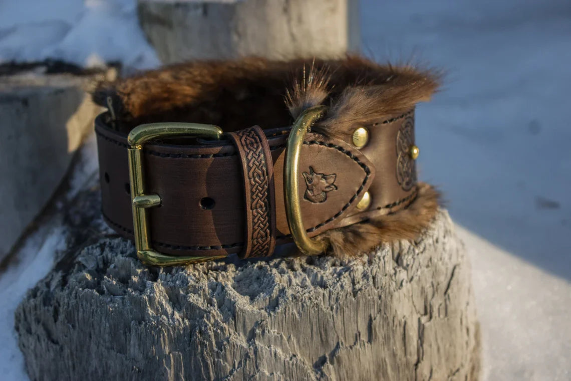 Jarl Leather Dog Collar