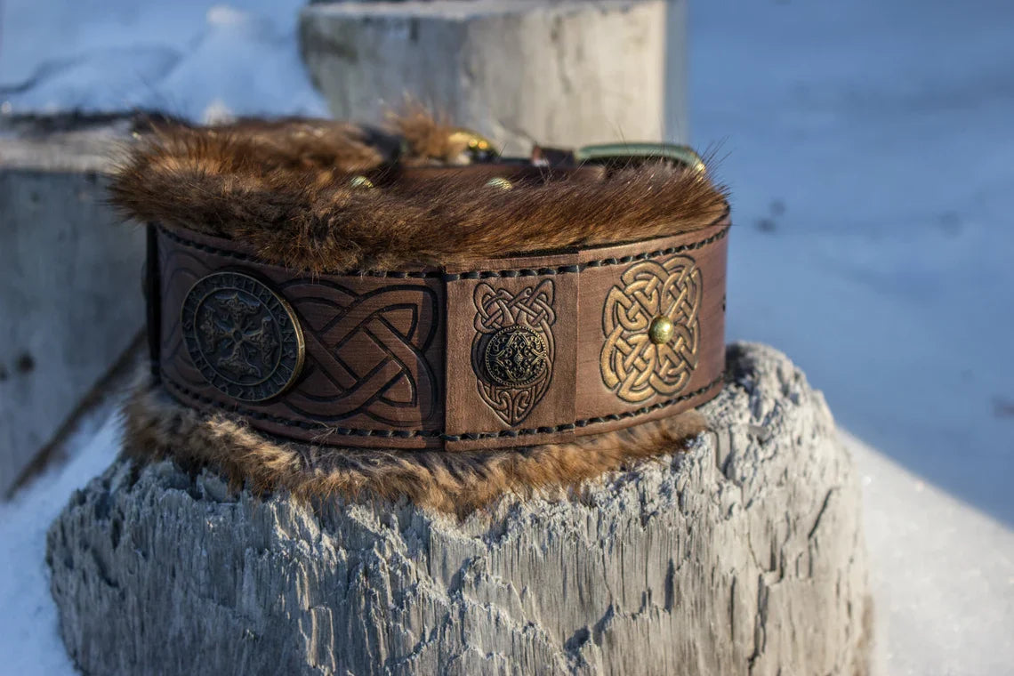 Jarl Leather Dog Collar