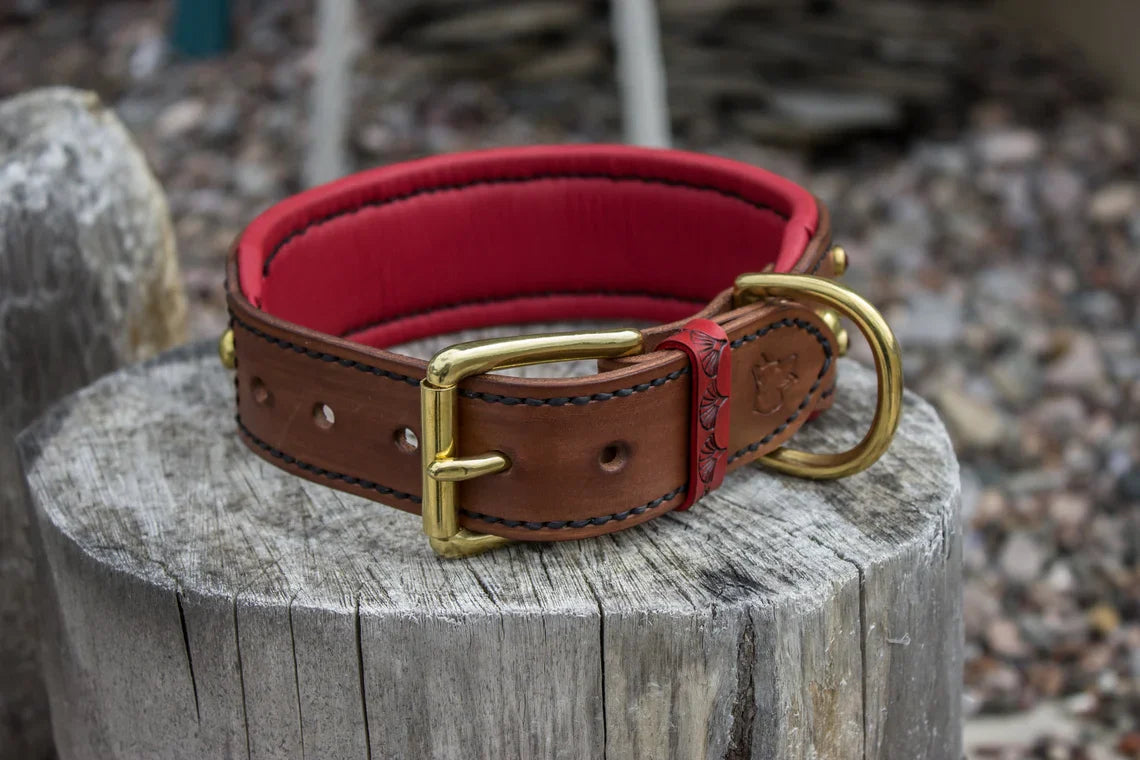 Khepri Leather Dog Collar