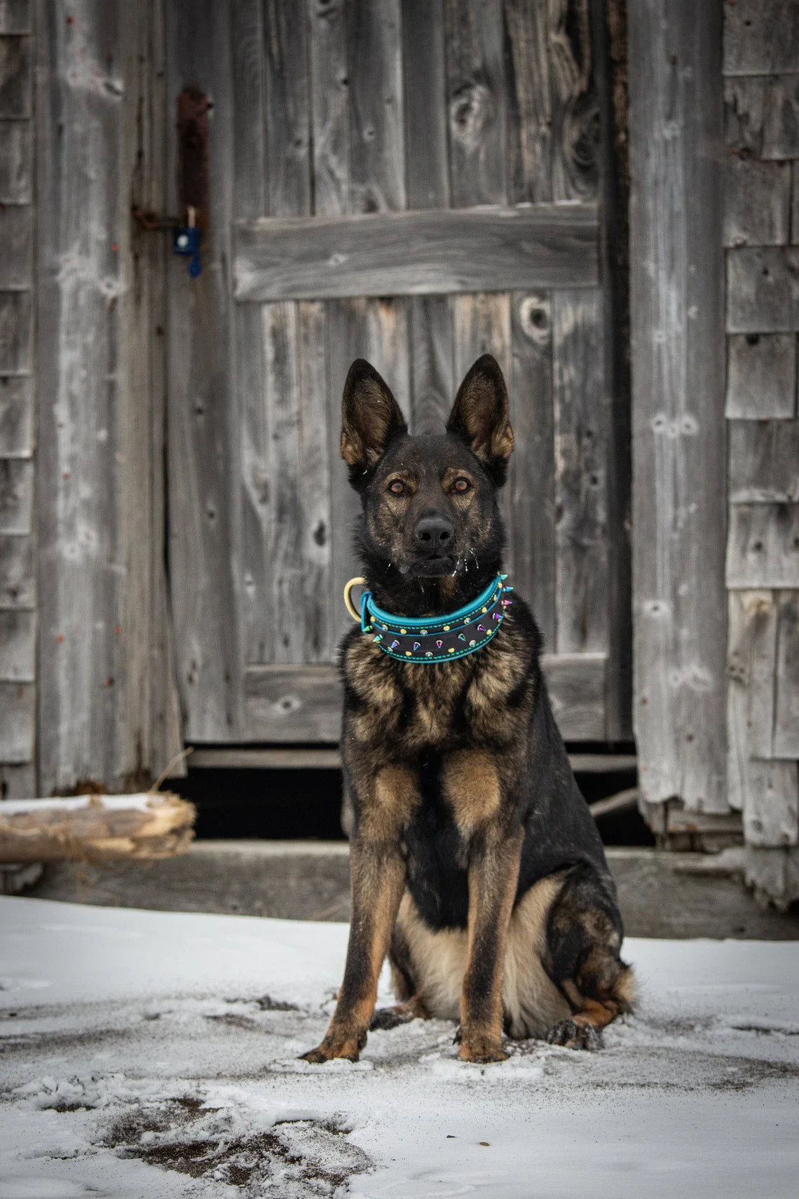 Cyberpunk Leather Dog Collar