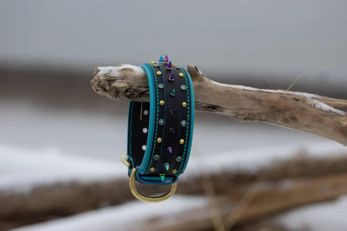 Cyberpunk Leather Dog Collar