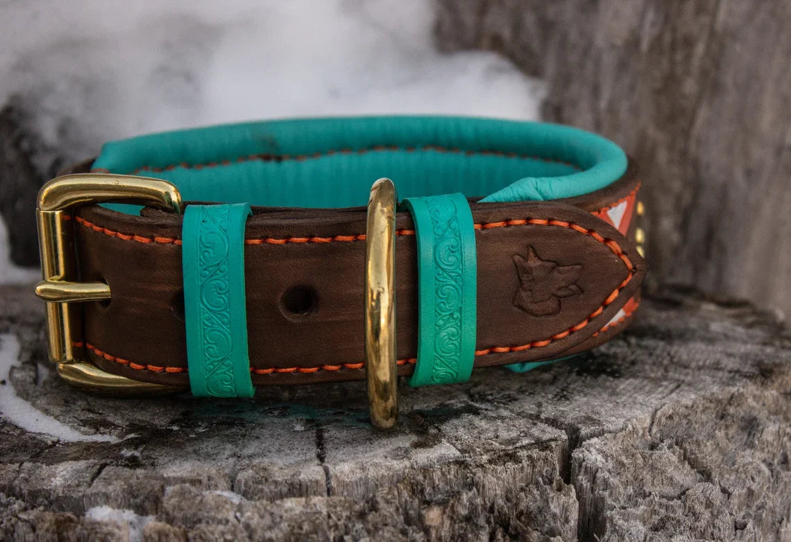 Western South-West Leather Dog Collar