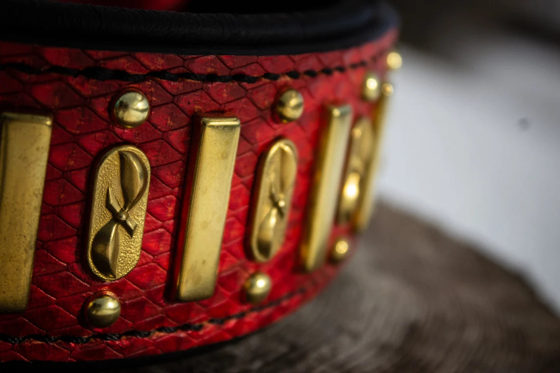 Black Prince's Ruby Leather Dog Collar 2