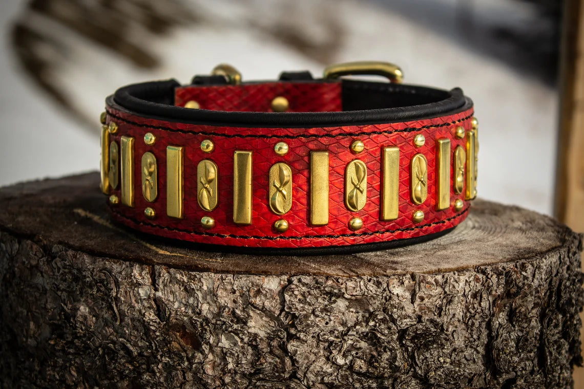 Black Prince's Ruby Leather Dog Collar 2