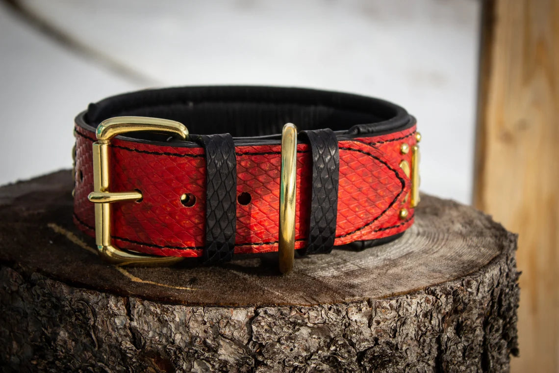 Black Prince's Ruby Leather Dog Collar 2