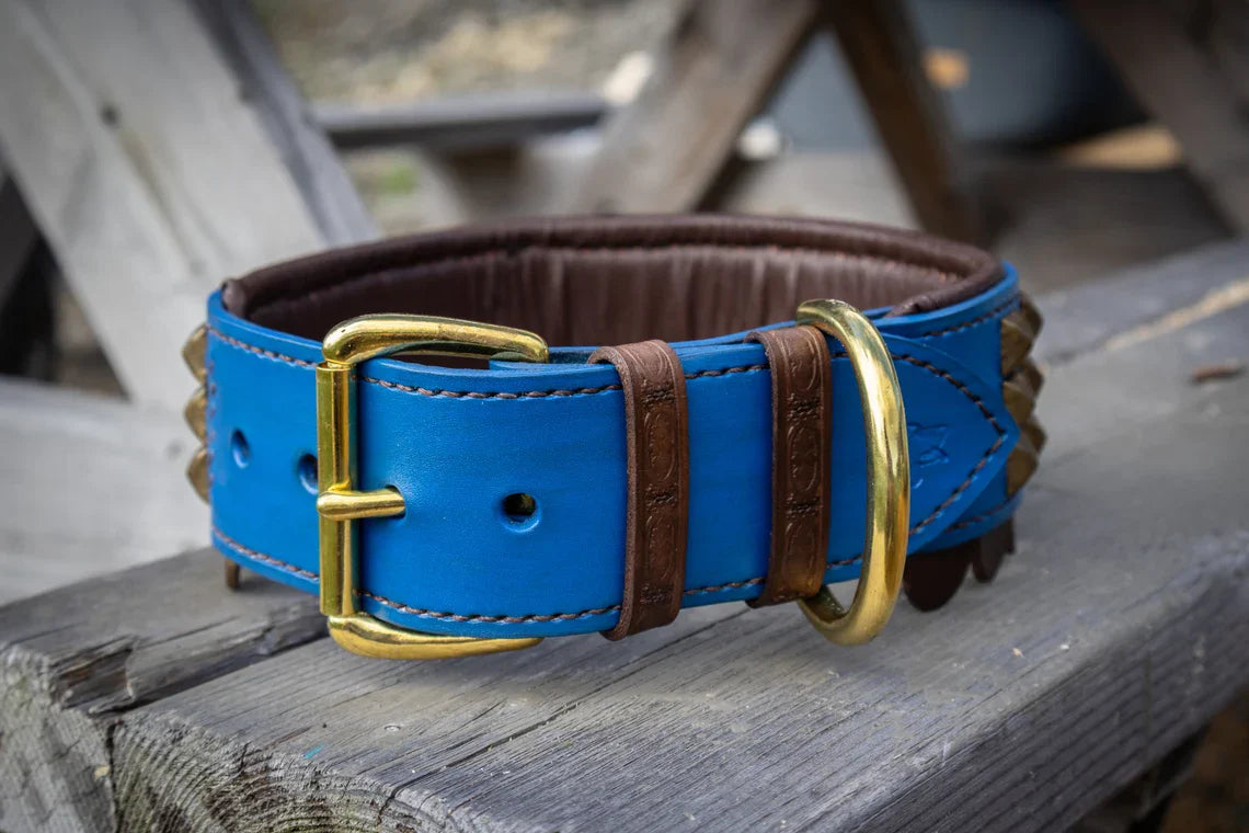 Maximus Leather Dog Collar