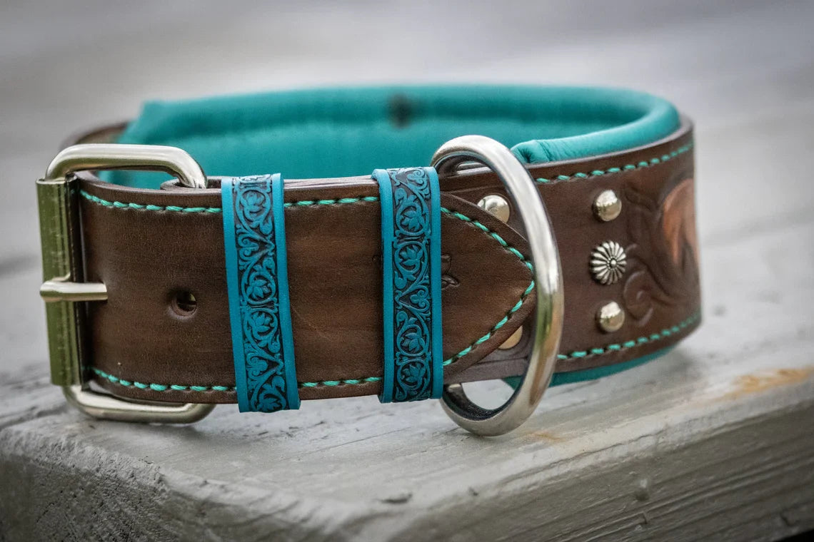 Quarter Horse Leather Dog Collar