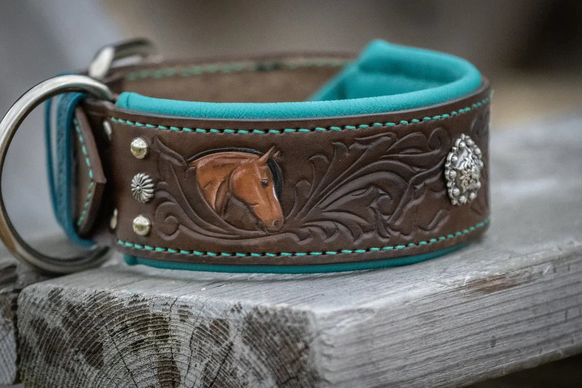 Quarter Horse Leather Dog Collar