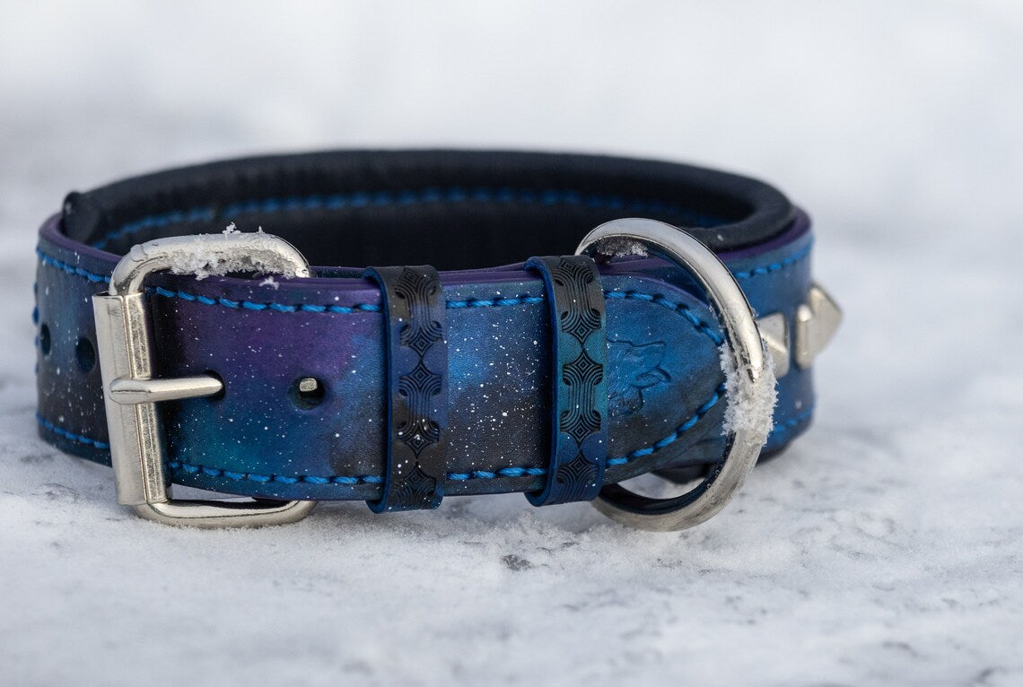 Galaxy Punk Leather Dog Collar