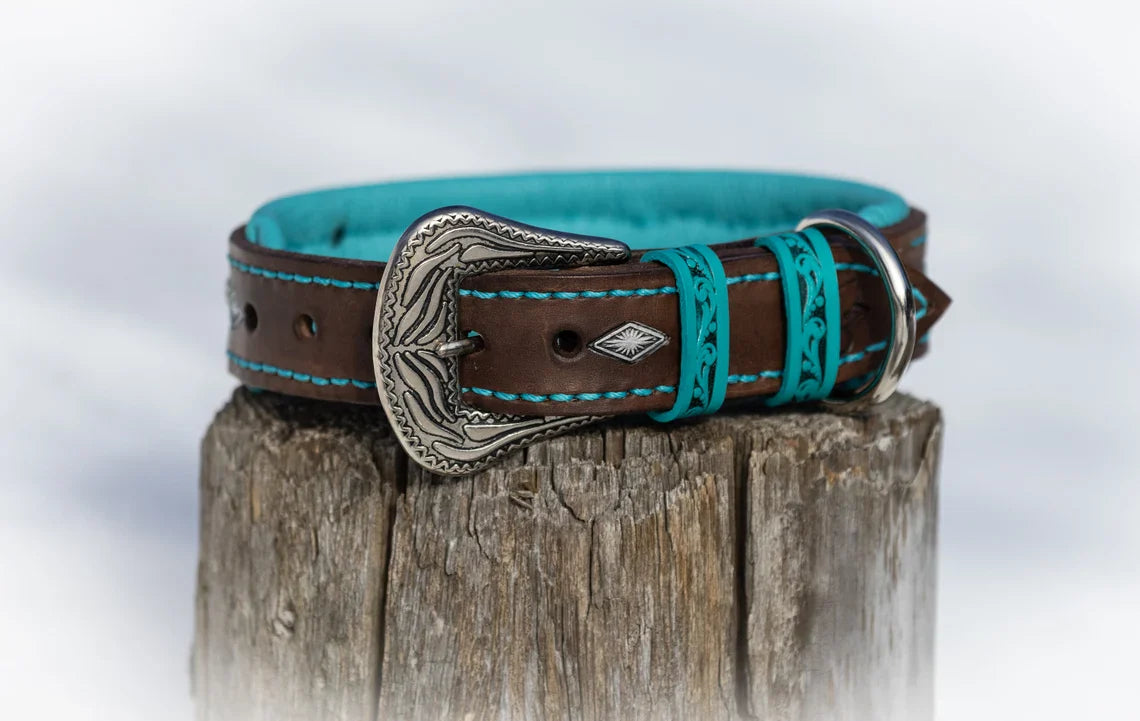 Appaloosa Leather Dog Collar