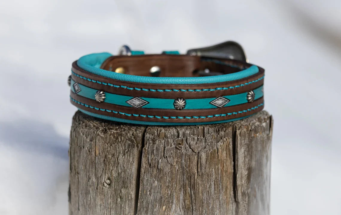 Appaloosa Leather Dog Collar