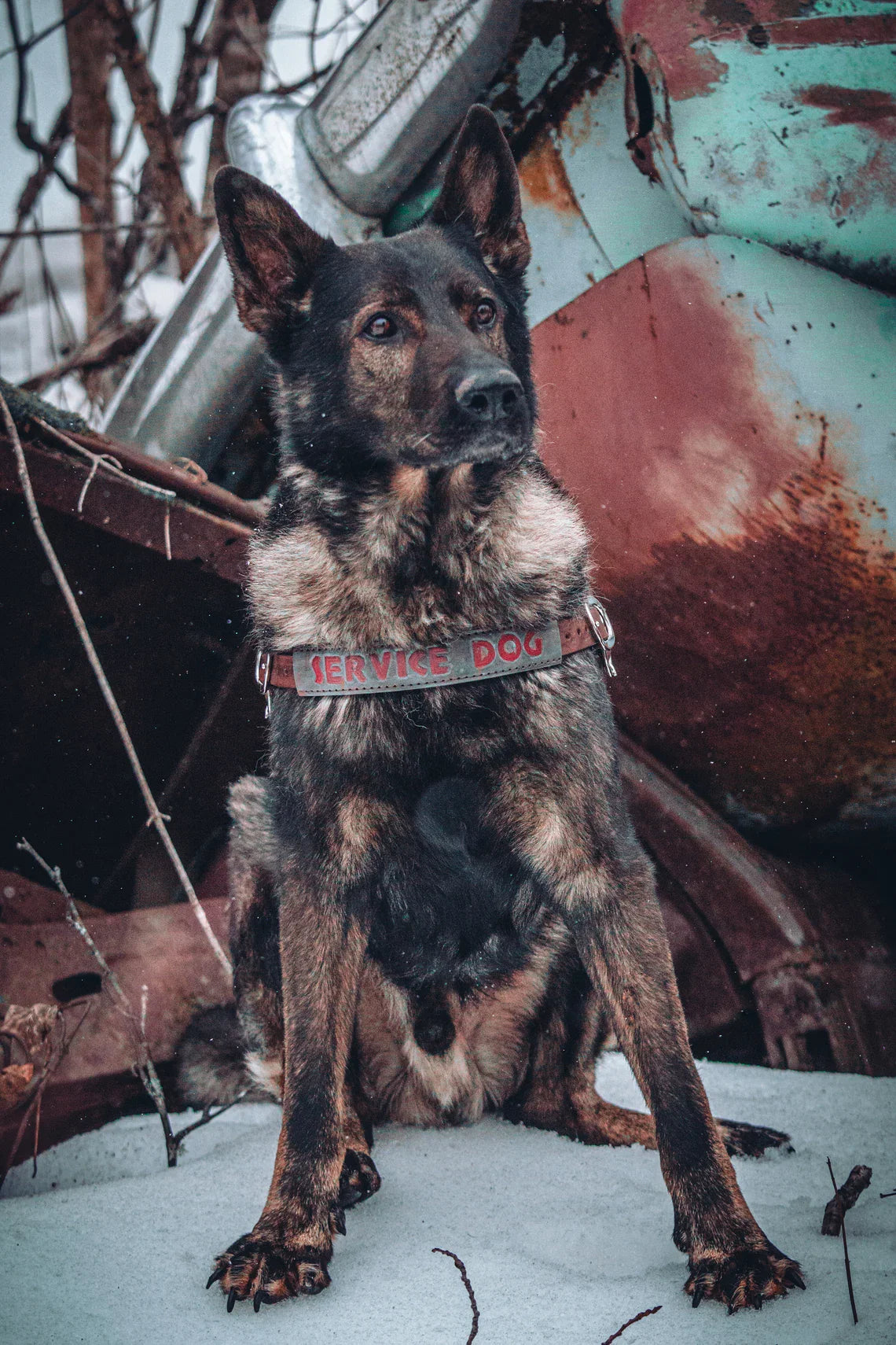 Apocalypse Leather Dog Harness