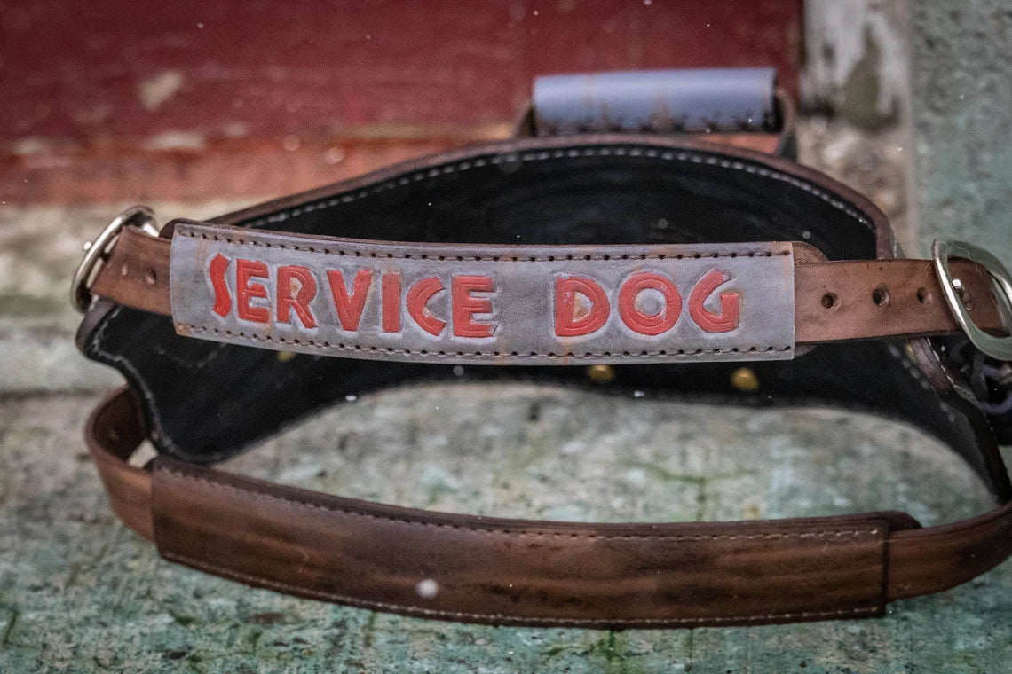 Apocalypse Leather Dog Harness