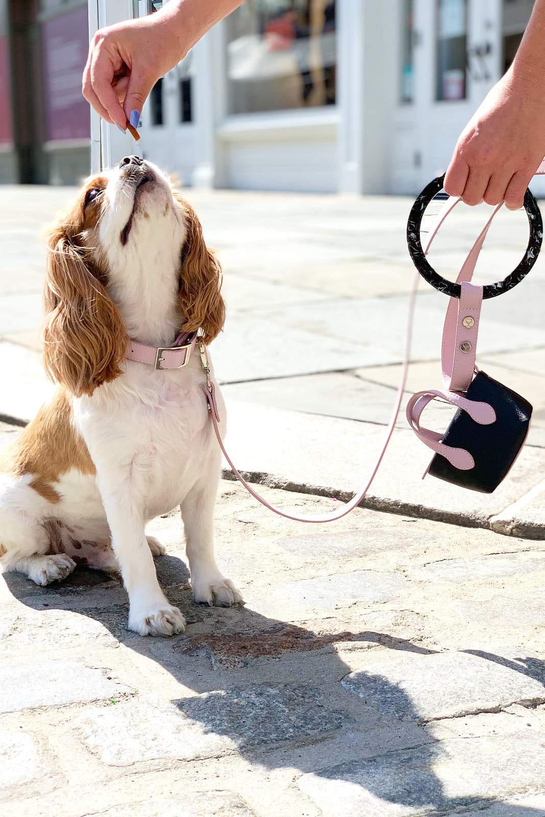 Clean Up Purse - Blush Pink