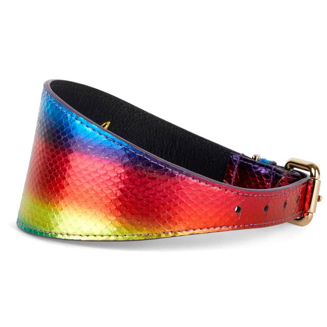 Rainbow Snake 3” Wide Style Collar