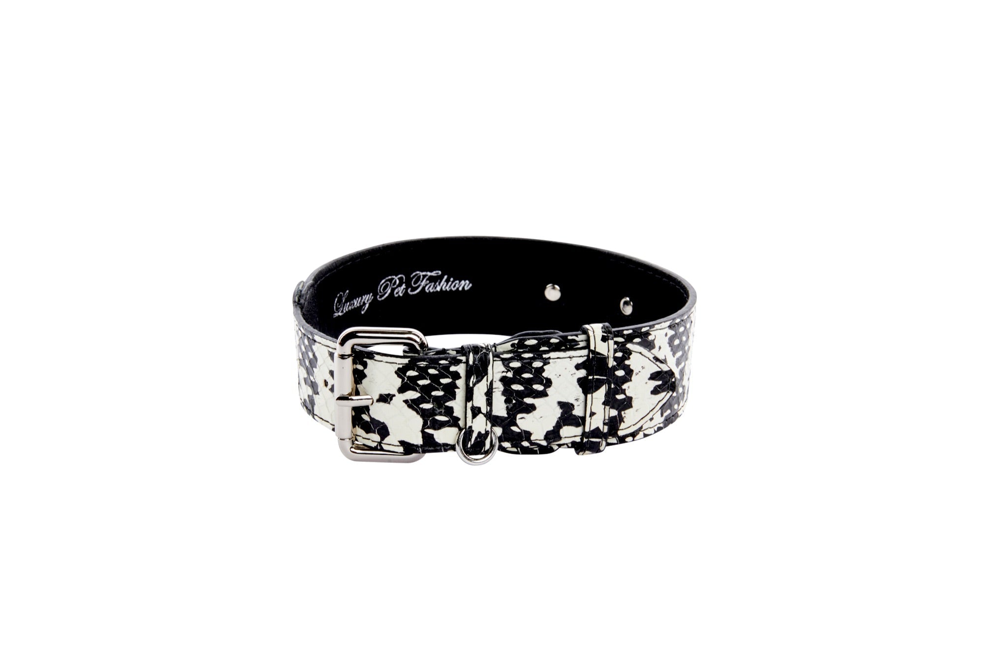 Black & White Snake/Classic Collar With Silver Hardware