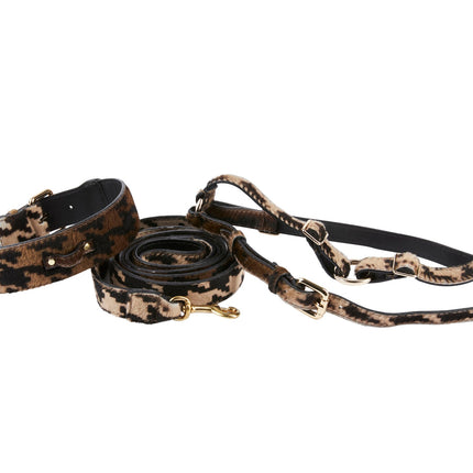 Houndstooth Hair On Hide On Hide Italian Leather Collar, Leash, Harness Set With Classic Hardware