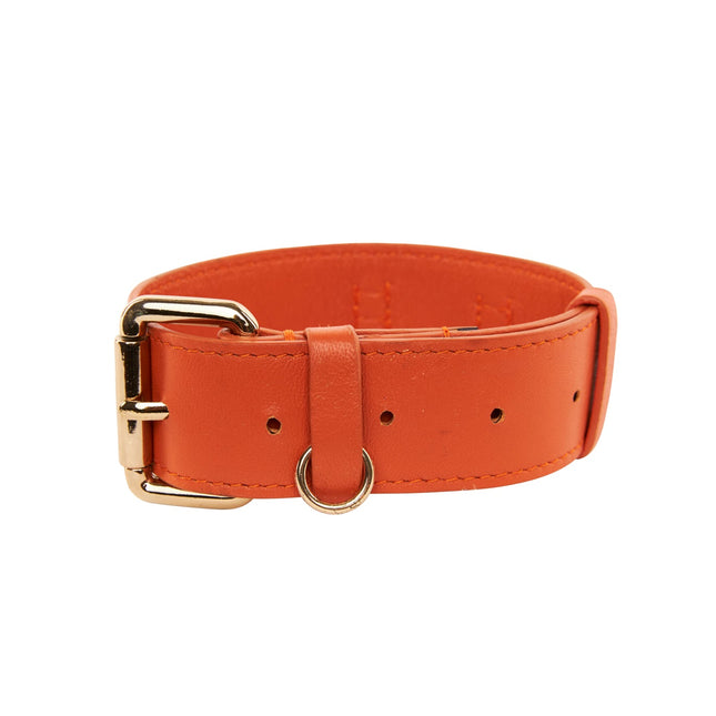 Small Orange Italian Leather Classic Collar