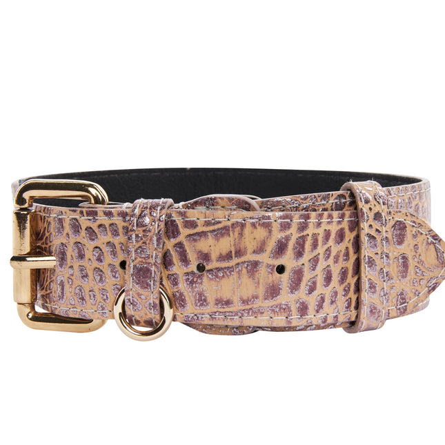 Pink, Purple & Silver Embossed Croc Italian Leather/Classic Collar