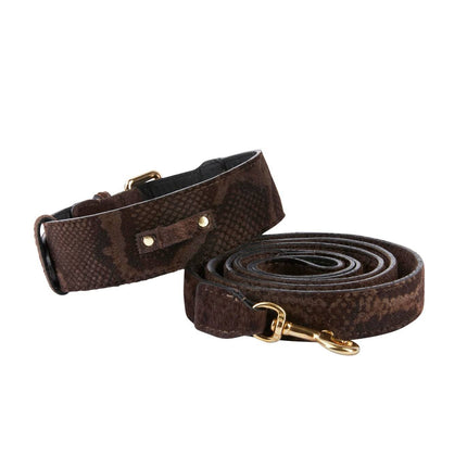 Brown Snake Print Hair On Hide Italian Leather With Classic Hardware Collar & Leash Set