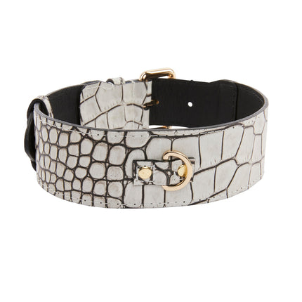 Dark Brown/Off White Embossed Croc Italian Leather Classic Collar With Gold Classic Hardware