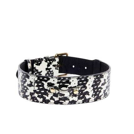 Black & White Snake Collar With Classic Gold Hardware