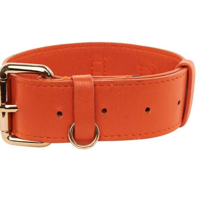 Small Orange Italian Leather Classic Collar