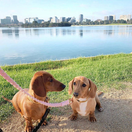 Dog Lead Baby Pink Plaited