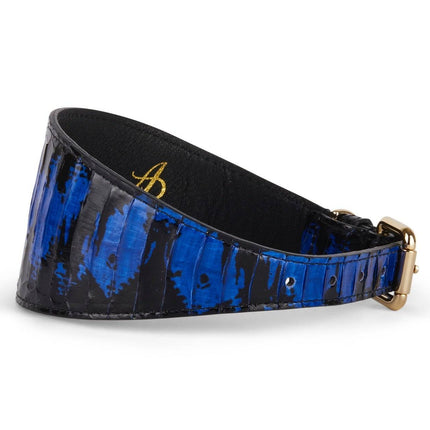 Black and Royal Blue Snake 3” Wide Style Collar