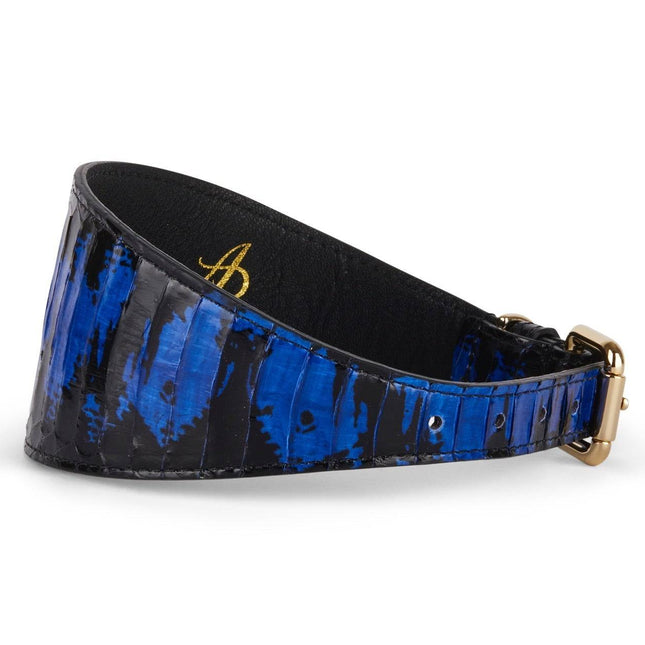 Black and Royal Blue Snake 3” Wide Style Collar