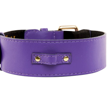 Purple Italian Leather Classic Collar