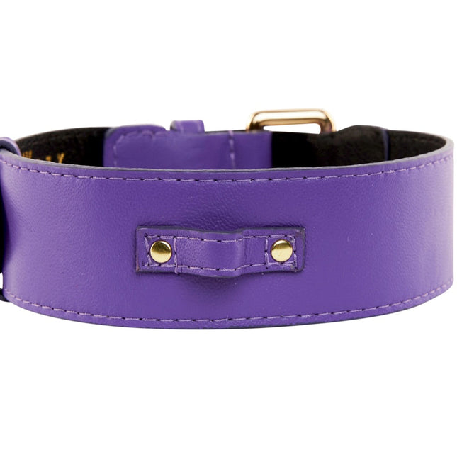 Purple Italian Leather Classic Collar